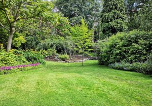 Optimiser l'expérience du jardin à Albiez-Montrond